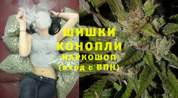 ПСИЛОЦИБИНОВЫЕ ГРИБЫ Вуктыл