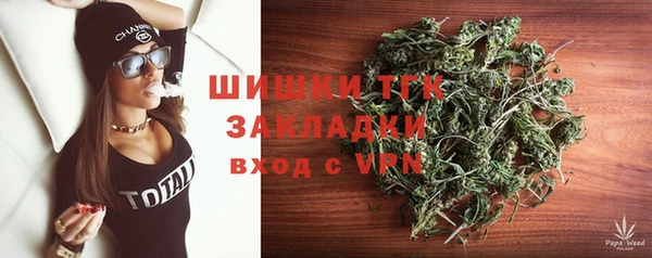 ПСИЛОЦИБИНОВЫЕ ГРИБЫ Вуктыл