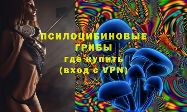ПСИЛОЦИБИНОВЫЕ ГРИБЫ Вуктыл