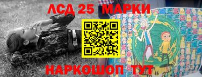 ALPHA PVP Камышлов