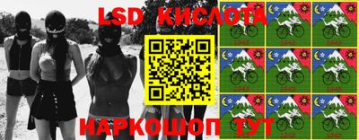 ALPHA PVP Камышлов