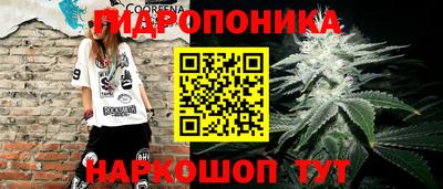 гидра Канаш