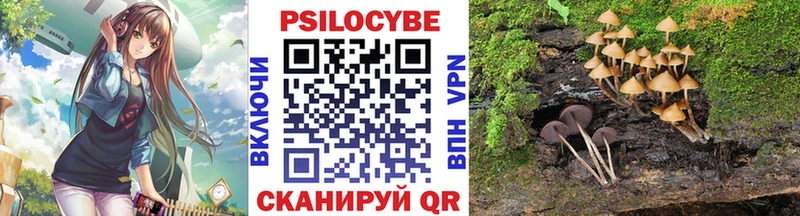 KRAKEN вход  Кудрово  Псилоцибиновые грибы мухоморы  продажа наркотиков 