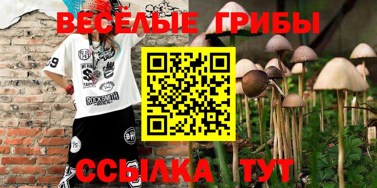 Псилоцибиновые грибы ЛСД Кудрово