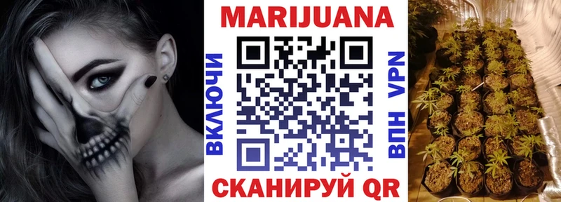 Канабис сатива  Кудрово 